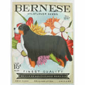 Bernese Seed TC-SF-311-18