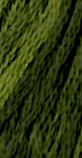 Sampler Threads 0000 - 0799
