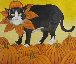 Pumpkin-Scooter  LH8019