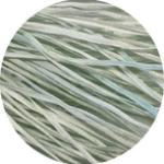 Straw Silk 0100 - 1099