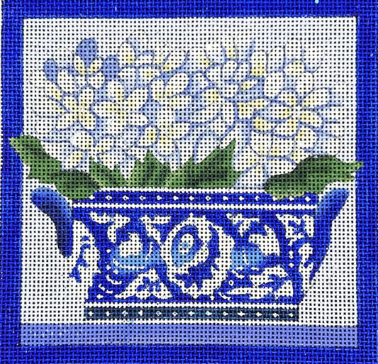Hydrangea  530-D