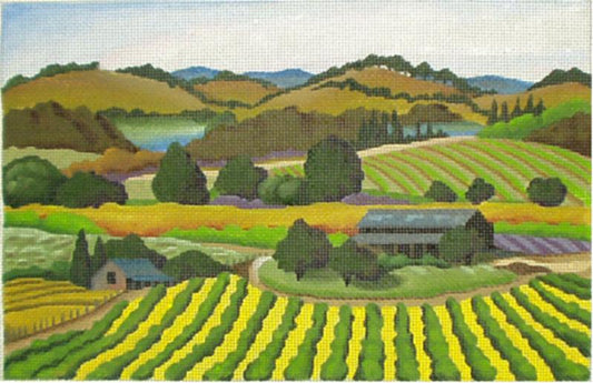 Napa Valley Vineyard  794