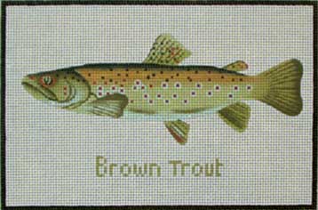 Brown Trout  881-C