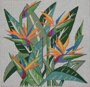 Bird of Paradise 118