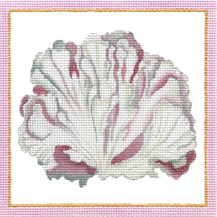 Coral  1523-D