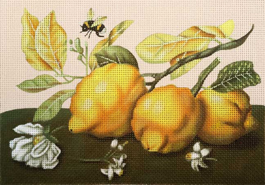 Small Lemons  1842