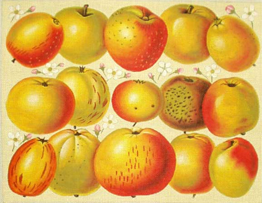 Vintage Apples  1250-2A