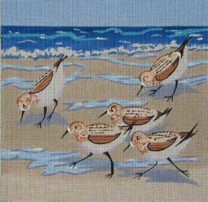 Sandpipers 143