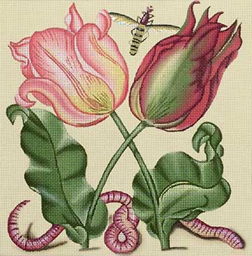 Vintage Tulips  1896