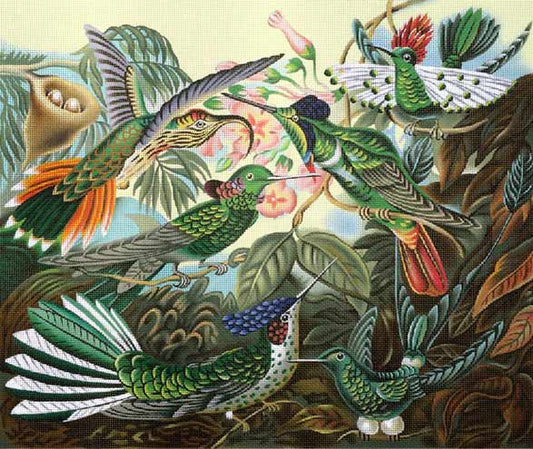 Hummingbirds  1935
