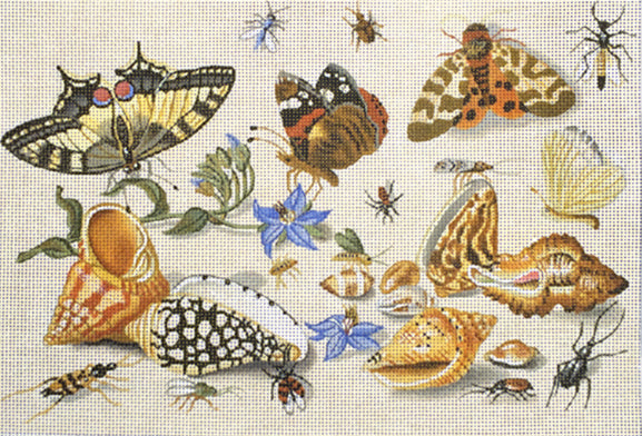 Shells and Insects  1946-A