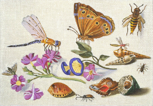 Dragonfly and Shells  1946-B