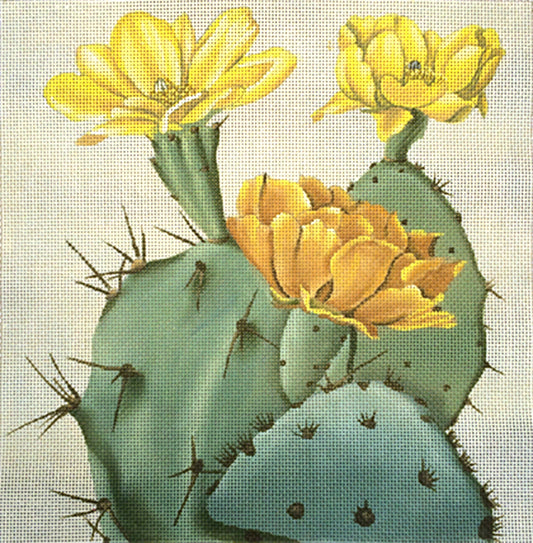 Vintage Cactus Bloom 1964
