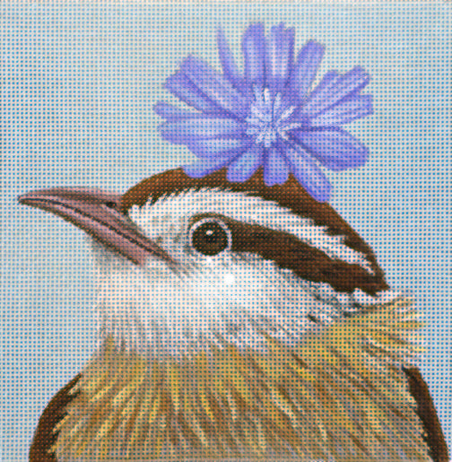 Carolina Wren  VS201-C