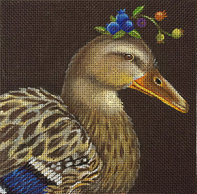 Blueberry Duck  VS251