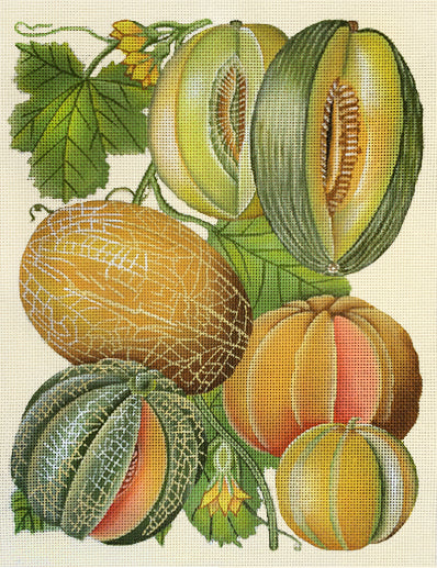Vintage Melons  2071