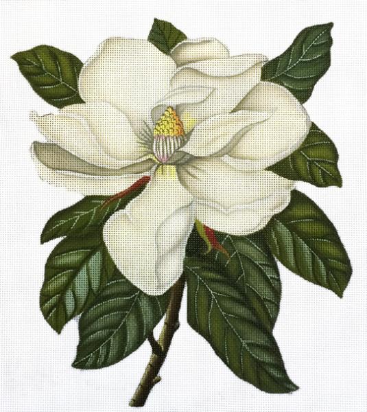 Vintage Magnolia  2085