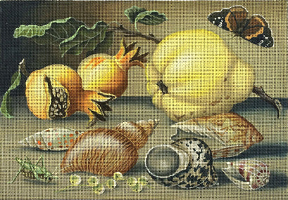 Pears and Shells  2102