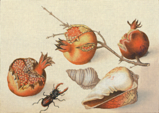 Shells and Pomegranate  2108