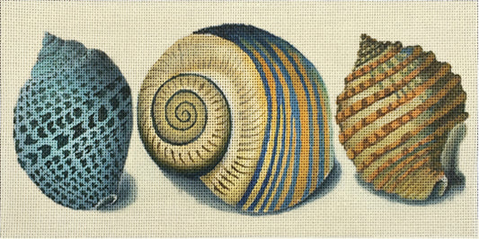 3 Shells - Blue Spots  2142-A
