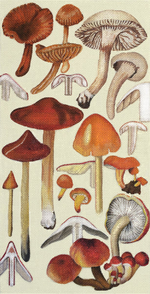 Red Mushrooms  2144-B