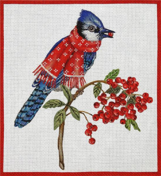 Winter Blue Jay MLT556
