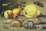 Pears and Shells  2102