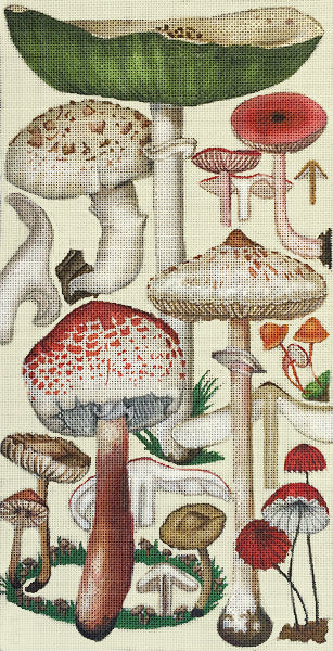 Green Mushrooms  2144-A