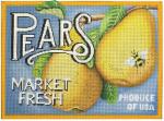 Pears  MLT501-B