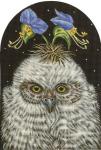Bee Bee Owlet  VS271-B