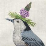 Nuthatch  VS278-C