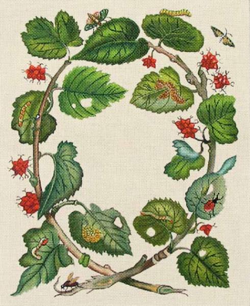 Vine Wreath  1986