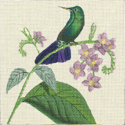 Purple Hummer  2095-B
