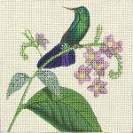 Purple Hummer  2095-B