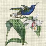 Blue Hummer  2095-D