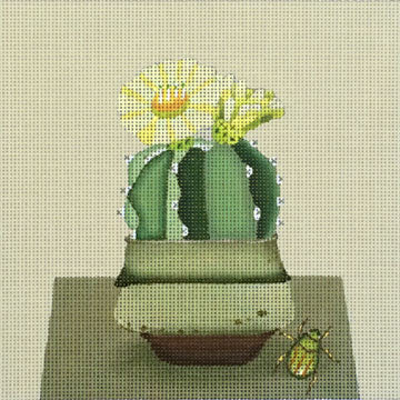 Yellow Cactus  1854-D
