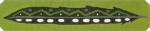 Black Feather Bracelet or Bookmark  1756-D