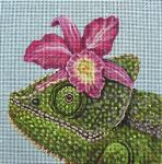 Orchid Chameleon  VS238