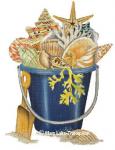 Shell Bucket  MLT477
