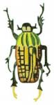 Yellow Black Beetle  1407-D