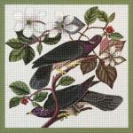 Doves  1996-2