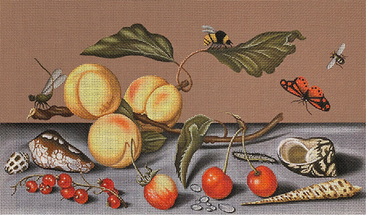 Fruit and Shells  2253