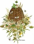 Bee Hive  MLT309