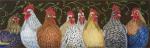 Chicken Vine  VS211