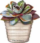 Gray Succulent  MLT262-A