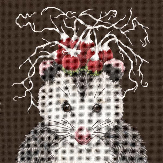 Einstein the Opossum  VS370