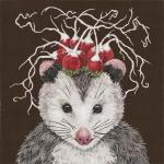 Einstein the Opossum  VS370