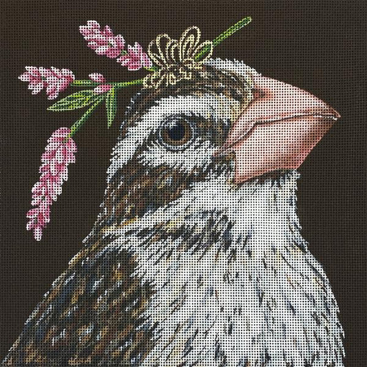 Keturah - Rose Grosbeak  VS372