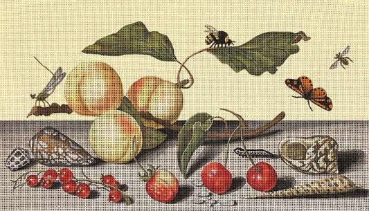 Peaches and Shells  2263