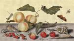 Peaches and Shells  2263